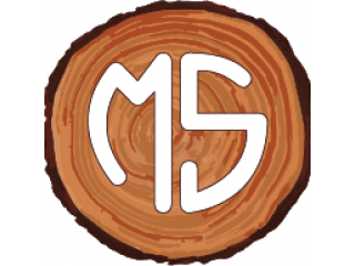 logo MS