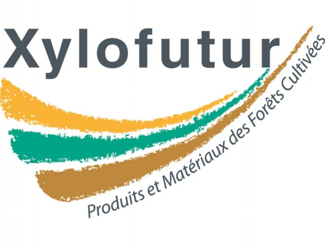 2013-10-xylofutur-logo
