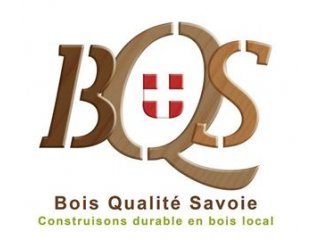Logo BQS petit