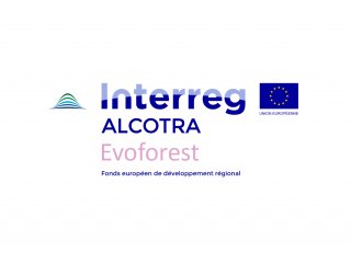 Logo Interreg Evoforest