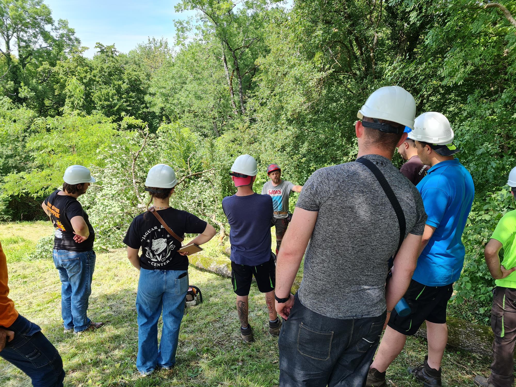 Métiers de la forêt : quand le terrain fait naître des vocations