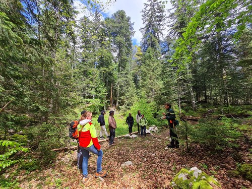 Découverte des métiers de la forêt : Un nouvel atelier réussi pour les demandeurs d&#39;emploi