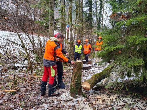 Journée d’échanges entre apprentis constructeurs bois et futurs professionnels de la forêt