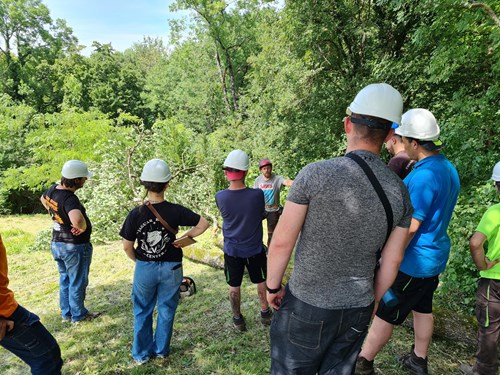 Métiers de la forêt : quand le terrain fait naître des vocations