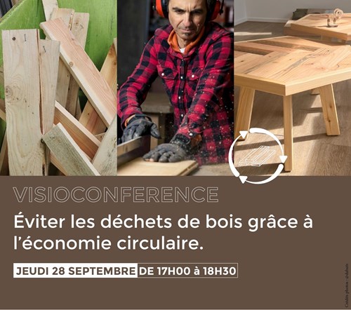Visioconférence : éviter les déchets de bois grâce à l&#39;économie circulaire.