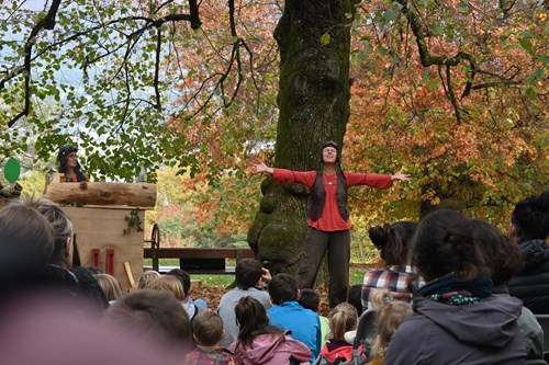 Bilan des premières Forestivités en Savoie : un succès partagé ! 
