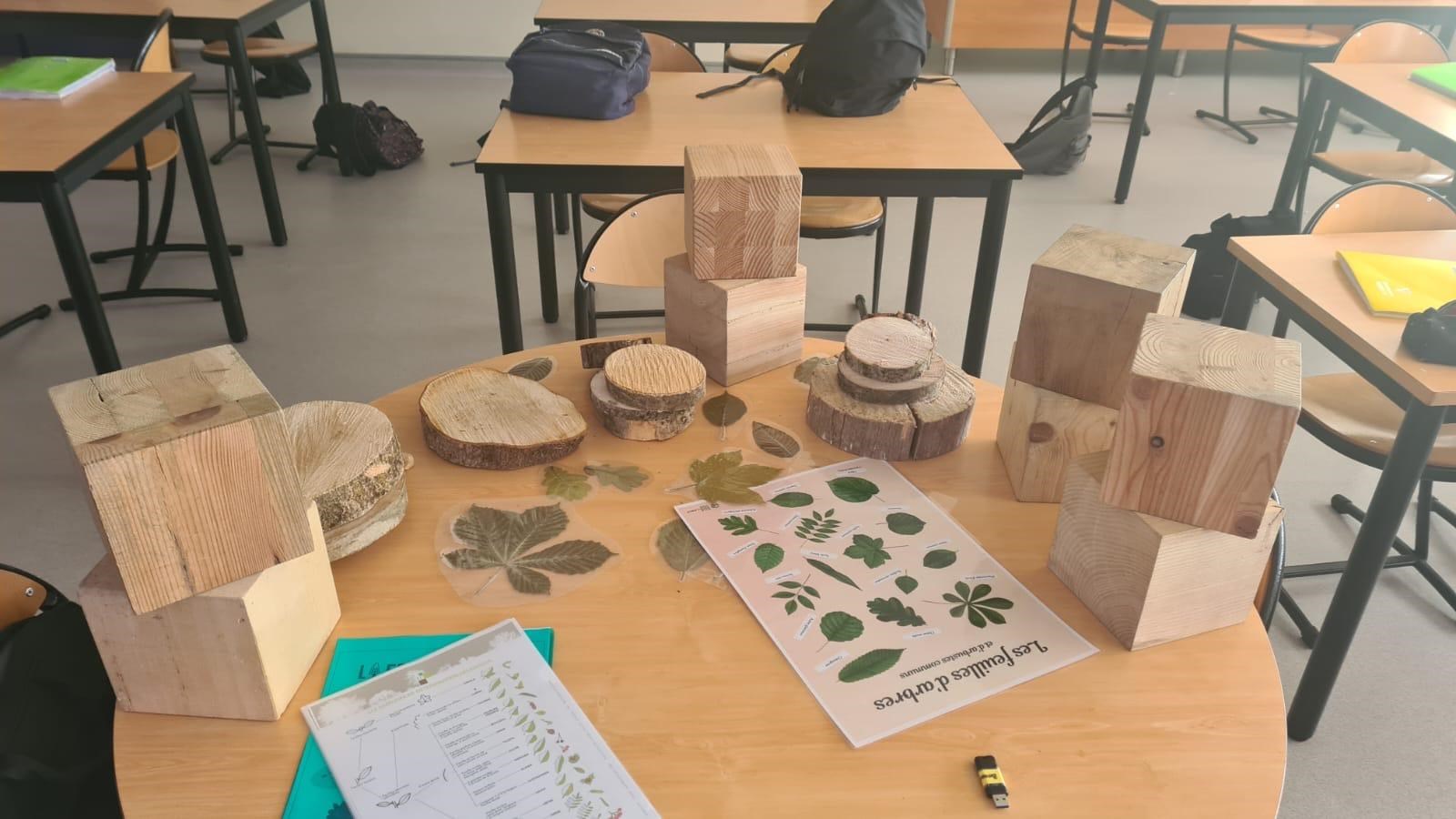 La sensibilisation des jeunes aux métiers de la forêt et du bois continue !