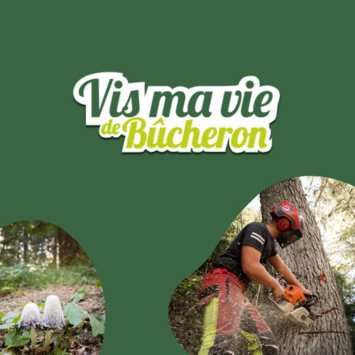 &quot;Vis ma Vie de Bûcheron&quot; - La saison 2025 est lancée !