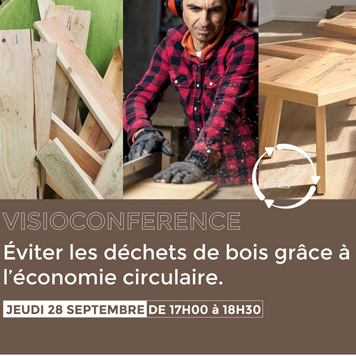 Visioconférence : éviter les déchets de bois grâce à l&#39;économie circulaire.