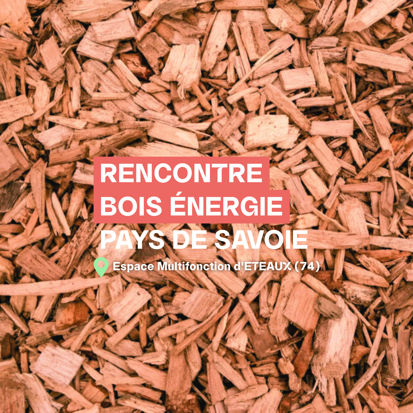 Rencontre Bois Energie pays de Savoie