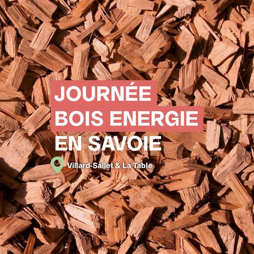 Journée Bois Energie Savoie