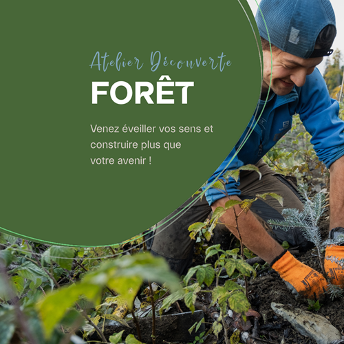 Atelier Découverte - Forêt